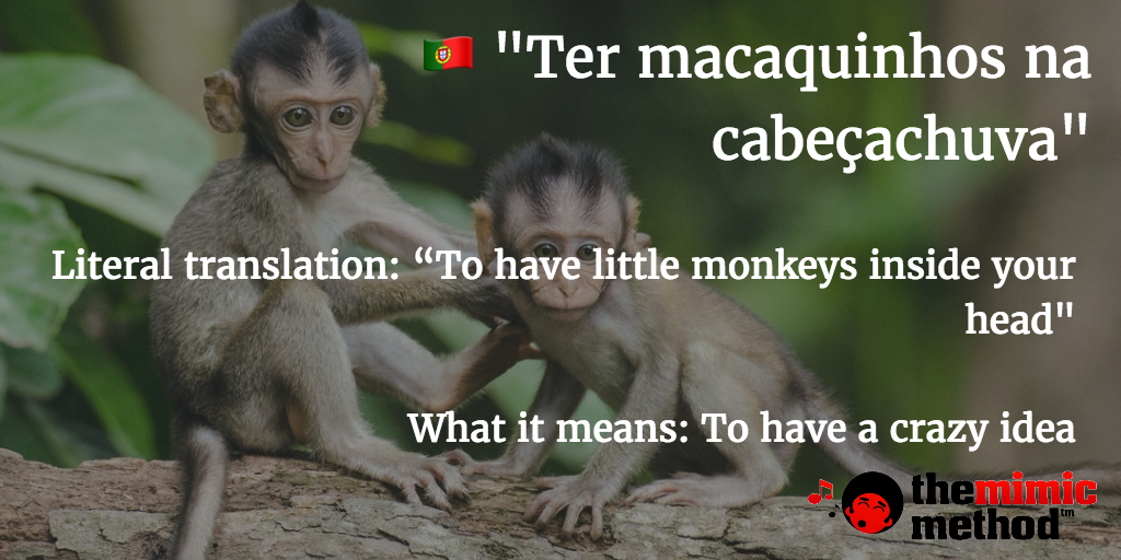 Portuguese idiom