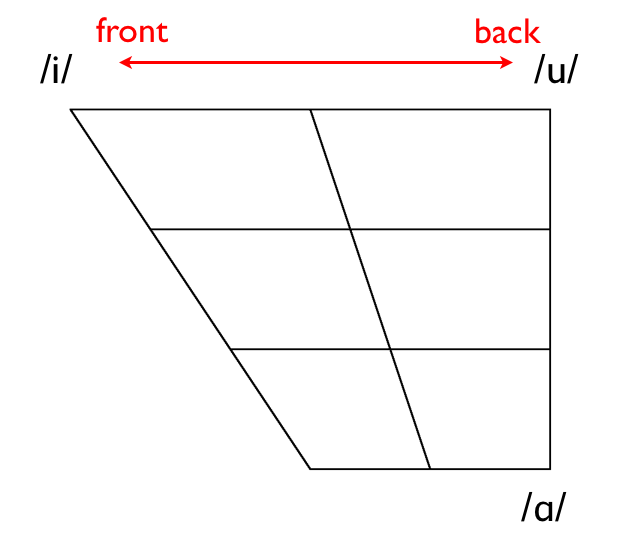 Draw The Vowel Chart