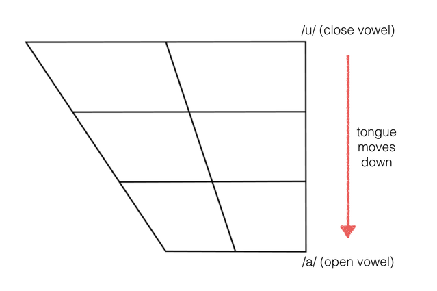 Draw The Vowel Chart