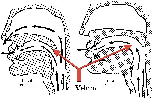 French Vowel Chart